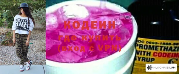 дживик Горняк